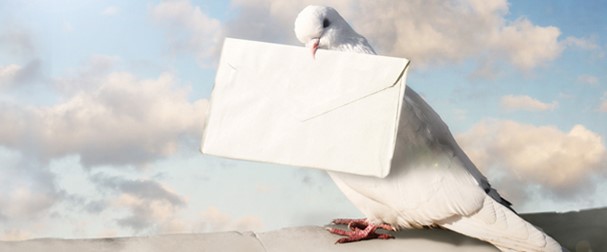 carrier pigeon delivering an envelope